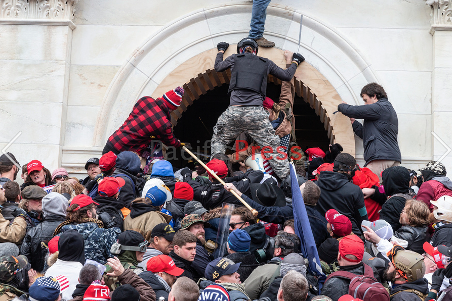  #PinkHatLady  #Bullhornlady