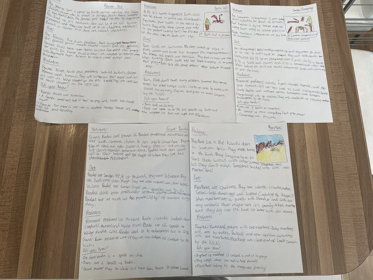 jen_w85's tweet photo. @StAnnsRainhill @CharlottieFost we have a little writer on our hands this morning....Tom has written some animal fact files this morning inspired by the remote learning writing lessons Year 4 have done this week βΊοΈ #inspiration #homelearning #lovestowrite #animalfactfile https://t.co/3aUhjWx3YT