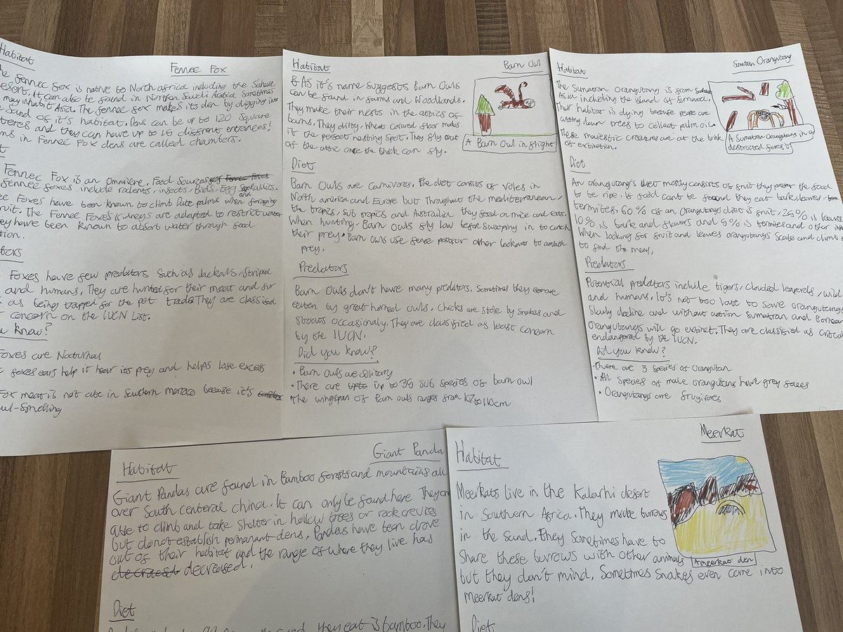 jen_w85's tweet photo. @StAnnsRainhill @CharlottieFost we have a little writer on our hands this morning....Tom has written some animal fact files this morning inspired by the remote learning writing lessons Year 4 have done this week βΊοΈ #inspiration #homelearning #lovestowrite #animalfactfile https://t.co/3aUhjWx3YT
