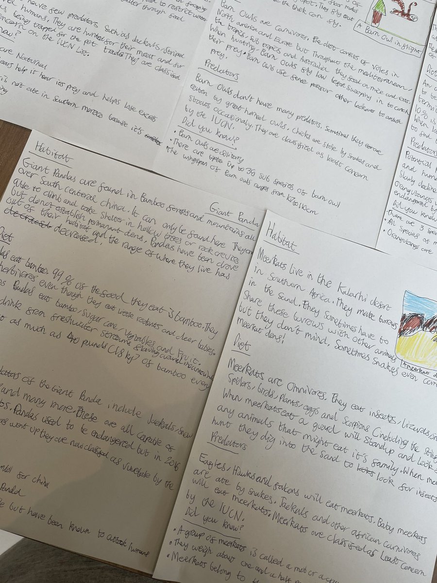 jen_w85's tweet photo. @StAnnsRainhill @CharlottieFost we have a little writer on our hands this morning....Tom has written some animal fact files this morning inspired by the remote learning writing lessons Year 4 have done this week βΊοΈ #inspiration #homelearning #lovestowrite #animalfactfile https://t.co/3aUhjWx3YT