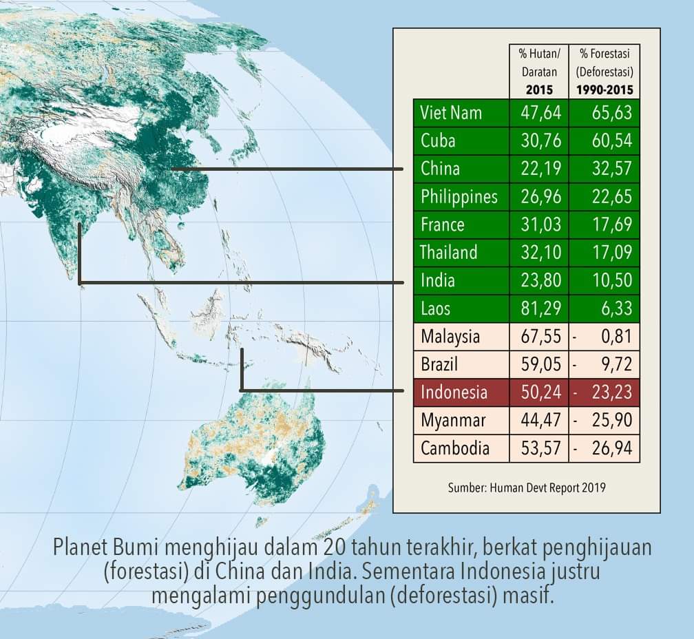 Luas hutan Indonesia menyusut 23% dalam kurun 25 tahun (1990-2015). Sementara pada kurun yang sama: China, India, dan beberapa negeri tetangga seperti Vietnam, Filipina dan Laos menghutankan kembali kawasan mereka.