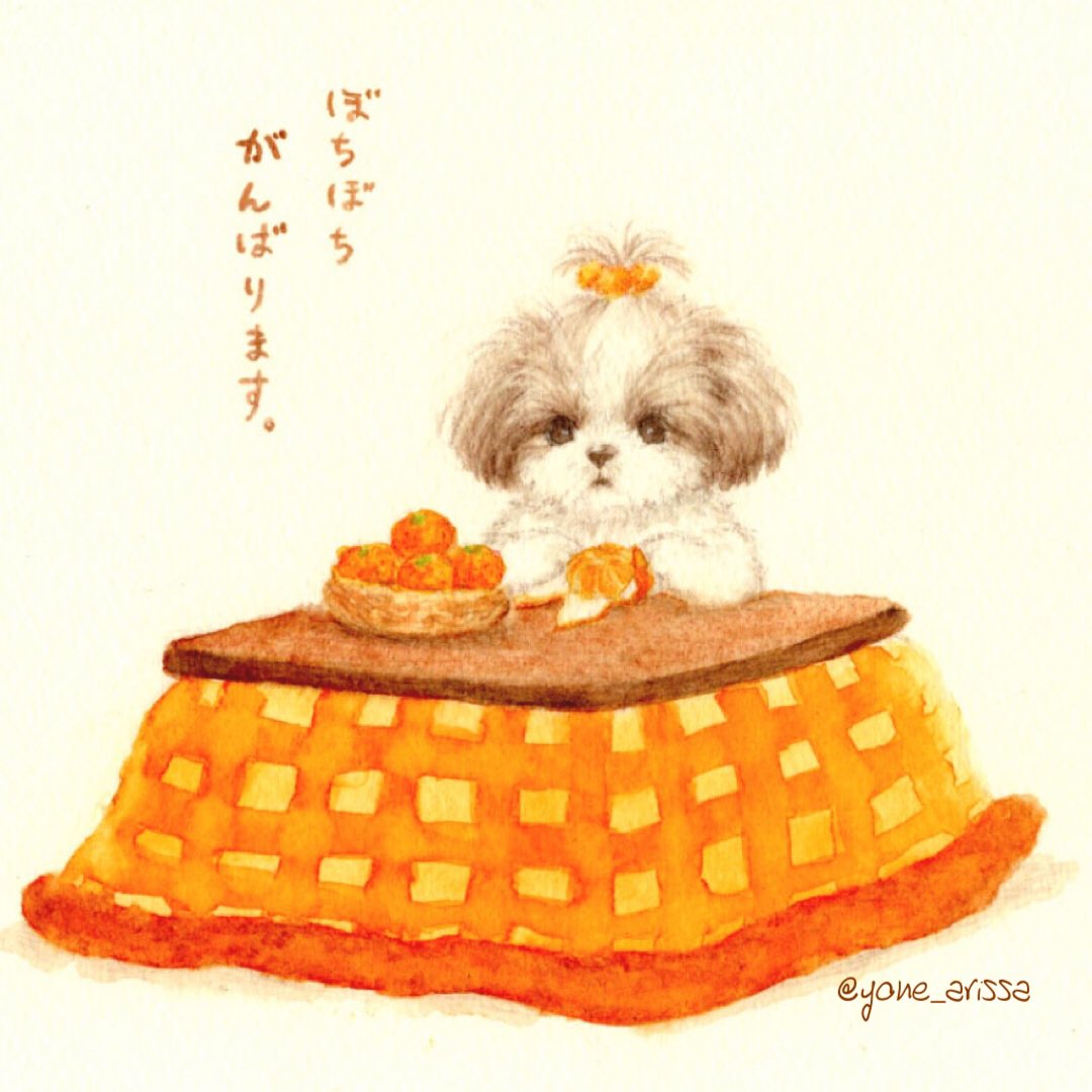 米畑有紗 水彩 色鉛筆で描きました こたつでみかん なシーズー 今年もぼちぼち マイペースに頑張ります イラスト アナログ絵 シーズー