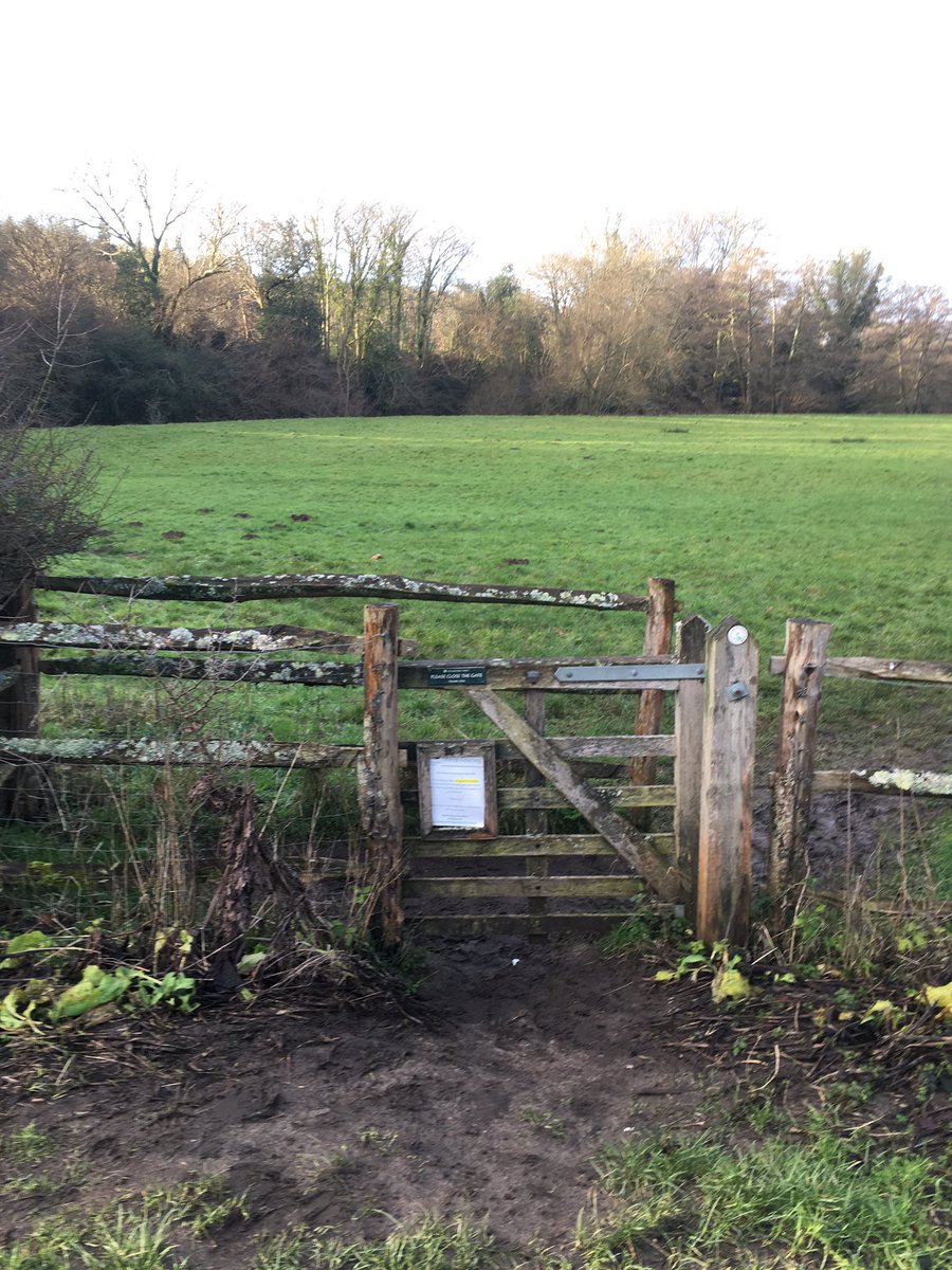 kissinggate2021's tweet photo. Heading towards the river in Woolbeding
#woolbeding #midhurst #kissinggate #westsussex #southdownsnationalpark @sdnpa @nationaltrust https://t.co/axtpFXnpRD
