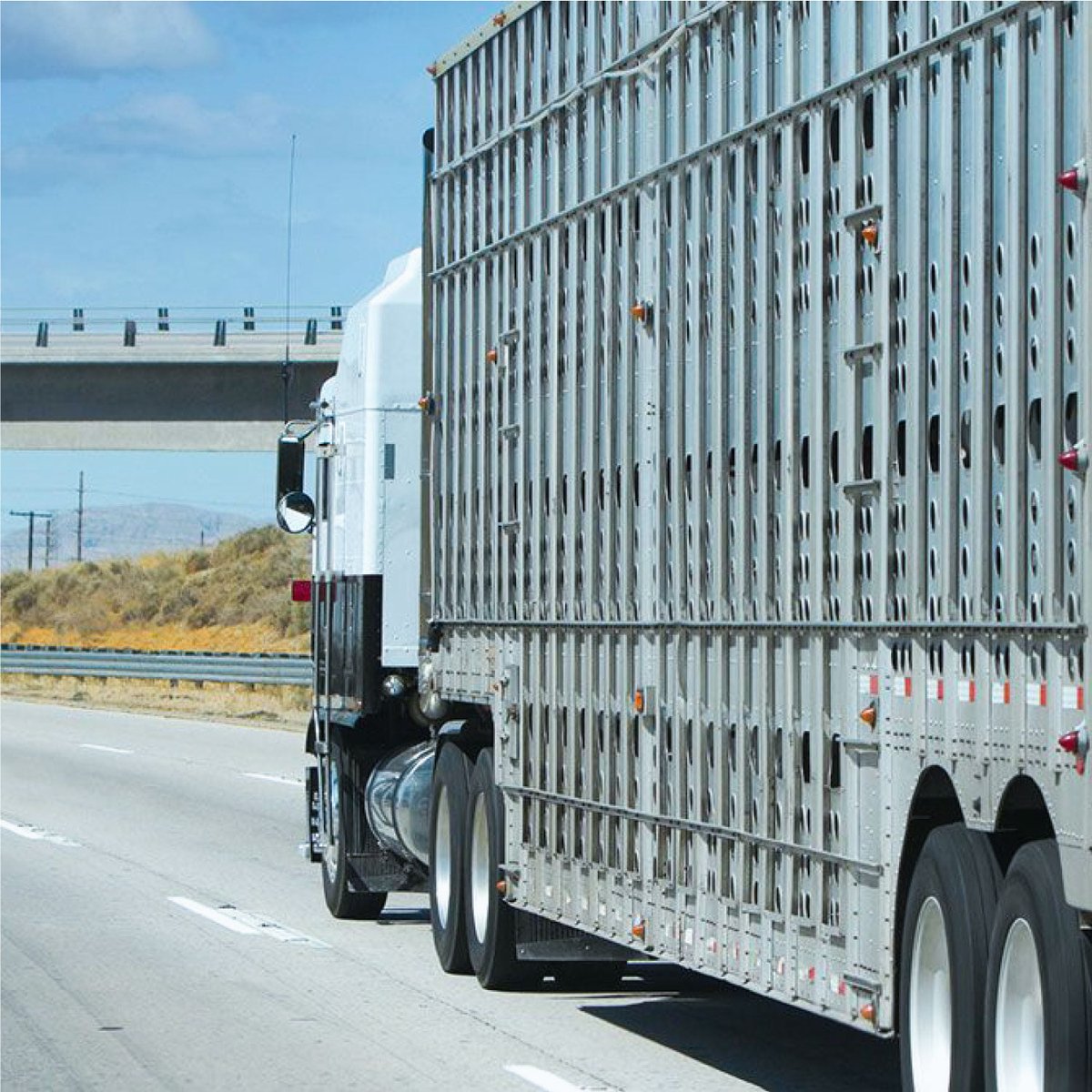 DispatchExperts's tweet image. The U.S. Senate committee that oversees funding across the federal government unveiled a plan for fiscal 2021 that will ensure operations continue uninterrupted across agencies, including the Federal Motor Carrier Safety Administration.

#DispatchExperts #DispatchUSA