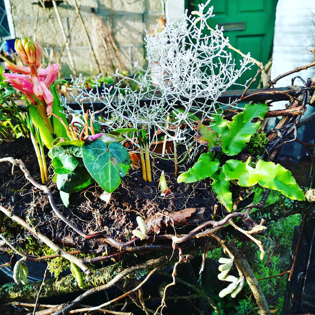 joyladds's tweet photo. HOPE :DREAM BUILD 2021 willow wrapped railings bringing the promise of spring in #Ramsbottom 💚 https://t.co/SjmTTp7DAY