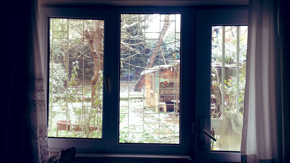 #tozkoparancennettir