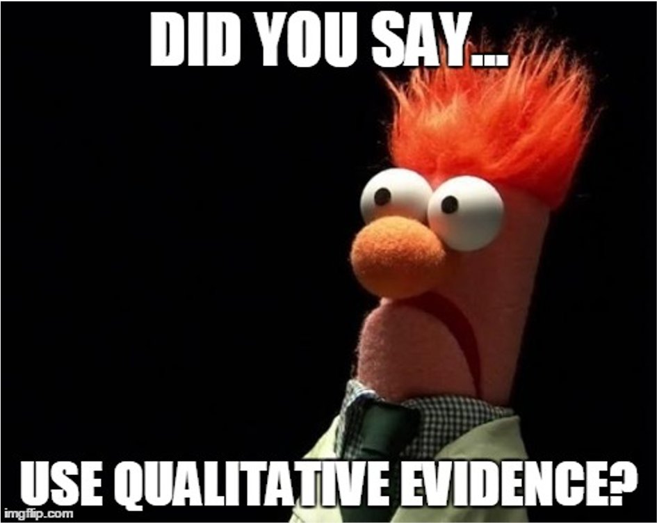 That means "good" or "useful" with respect to research derives partly from the question and partly from the method and execution. So a policymaker should be using descriptive work, RCTs, modelling, qualitative work depending on what exactly they're doing.