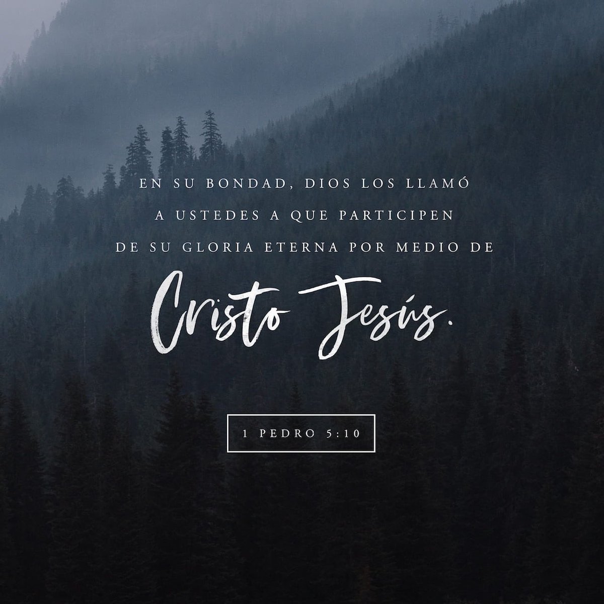 I_amachildofGod's tweet photo. Mas el Dios de toda gracia, que nos llamó a su gloria eterna en Jesucristo, después que hayáis padecido un poco de tiempo, él mismo os perfeccione, afirme, fortalezca y establezca.

📖➡️ 1 P. 5:10 🙌🏻
 https://t.co/nIGvz9EkbC https://t.co/XpCF9hKd8S