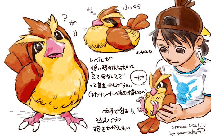 #ポケモンと生活 
#PokemonGO 
#ポッポ
#PokemonLife 
#Pidgey 

1日に1匹のポケモンを描くチャレンジ?
16日目は野生で1番最初に出会うポッポ!? 