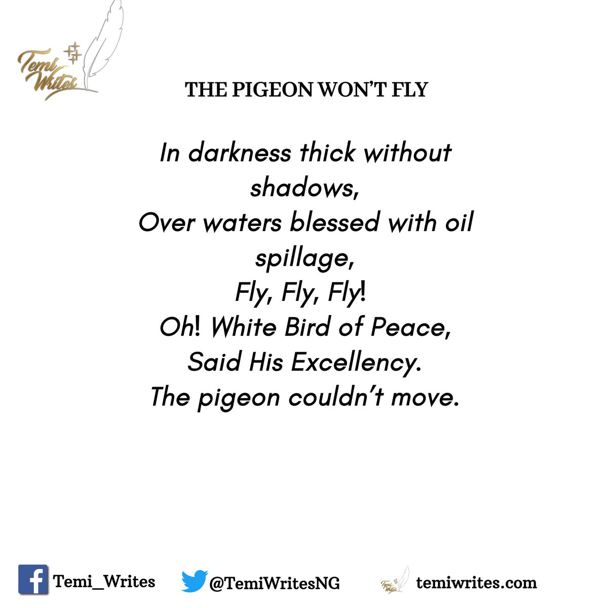 _temiadebayo's tweet photo. The pigeon won't fly -A SHORT POEM

Why did the pigeon refuse to fly....

Dunsin Oyekan Boko Haram Condolences Apapa to Anthony #museveni  Odunlade Uber #temiwrites #ArmedForcesRemembranceDay2021 #pigeonwontfly https://t.co/jRGx87hQrP