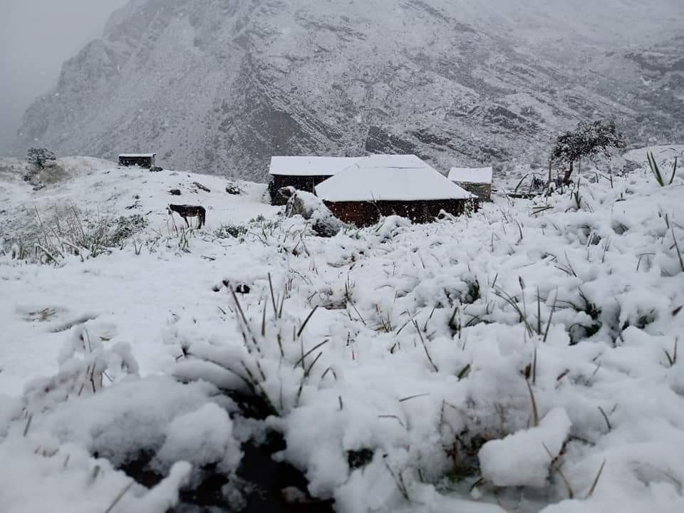 Yeison_Andres16's tweet photo. No es Alaska, es Güicán Boyacá.😍 https://t.co/Hg0JH1tFHO