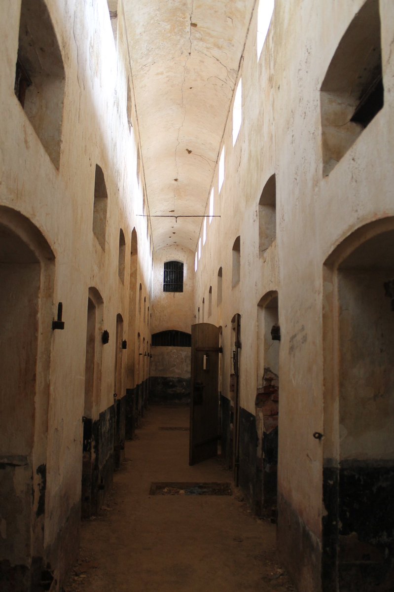 Un jour ou je me rends sur l'exploitation dans le but maléfique de concocter un lapin aux pruneaux ( #NoVegan), je croise le gars qui lave sa voitureJe m'arrête, on discute et il termine la conversation par "ce gars là, ha, faudra qu'on en parle tient lundi au bagne !"