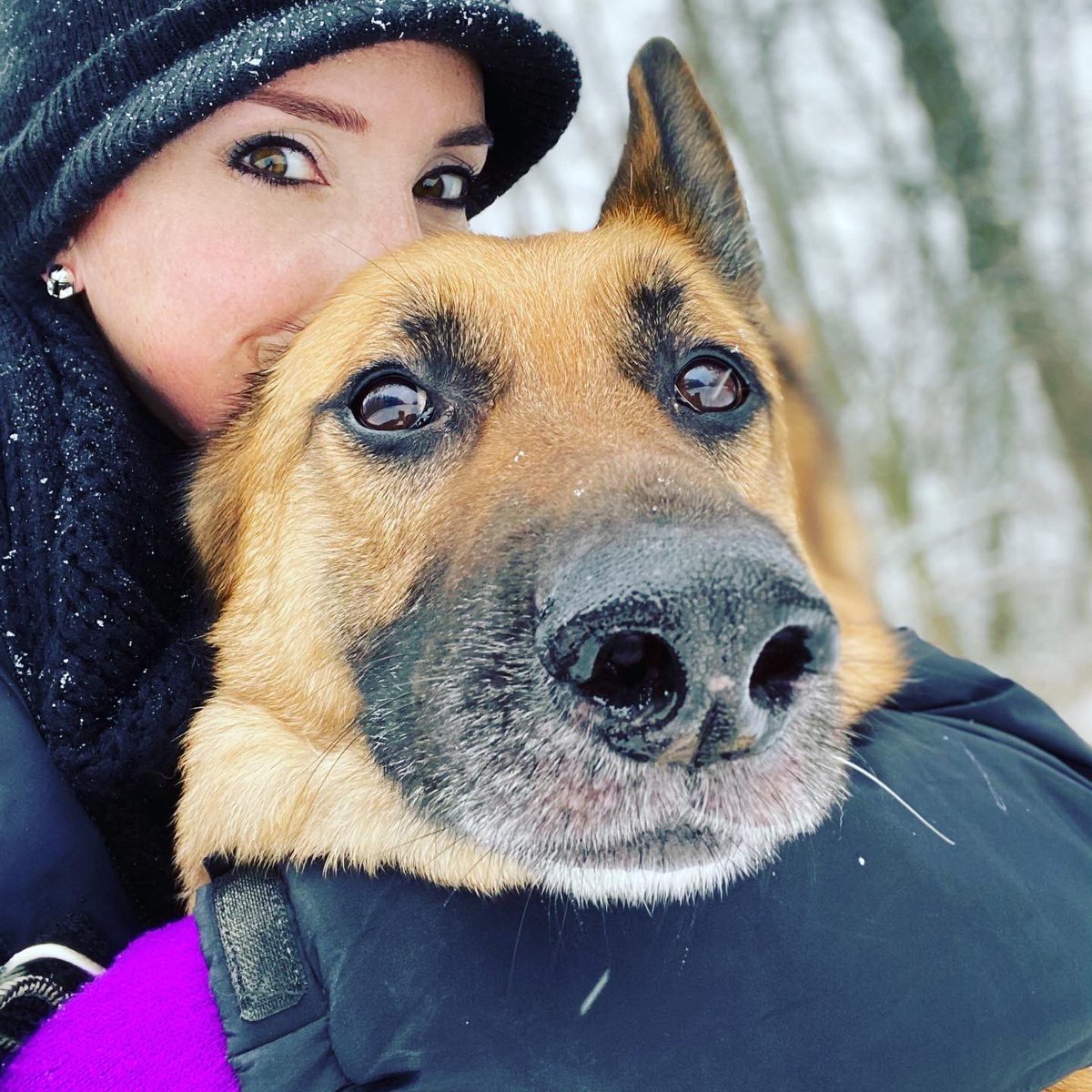 mel_craig80's tweet photo. Had a fun walk in the snow today 🥰❄️⛄️ I love it 😁 too bad it’ll be gone again soon... #winter #snowday #doglife #outdoors #thispupkeepsmeactive #StarktheGermanShepherd #walkyourdogs https://t.co/tNuLa9lH1p
