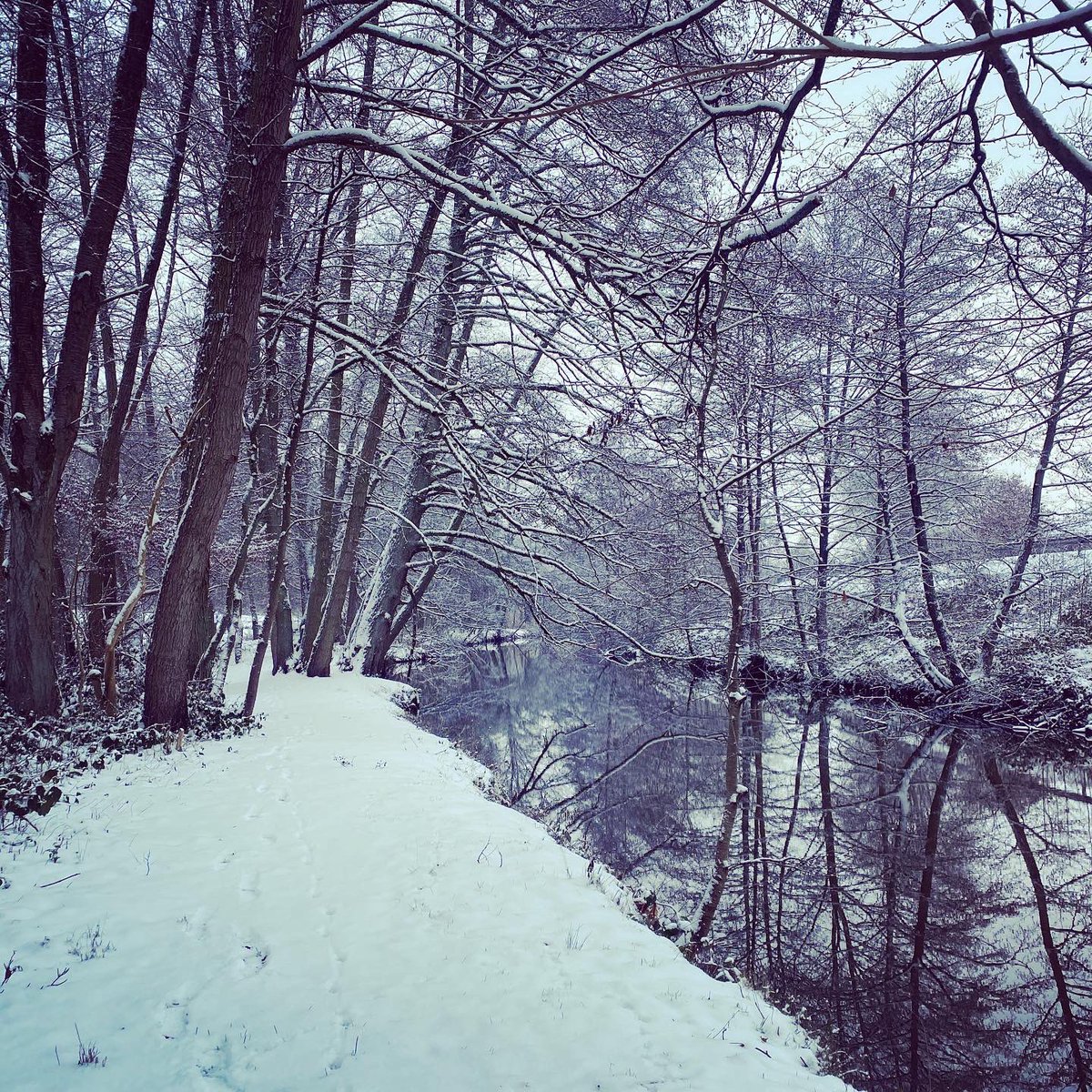 mel_craig80's tweet photo. Had a fun walk in the snow today 🥰❄️⛄️ I love it 😁 too bad it’ll be gone again soon... #winter #snowday #doglife #outdoors #thispupkeepsmeactive #StarktheGermanShepherd #walkyourdogs https://t.co/tNuLa9lH1p