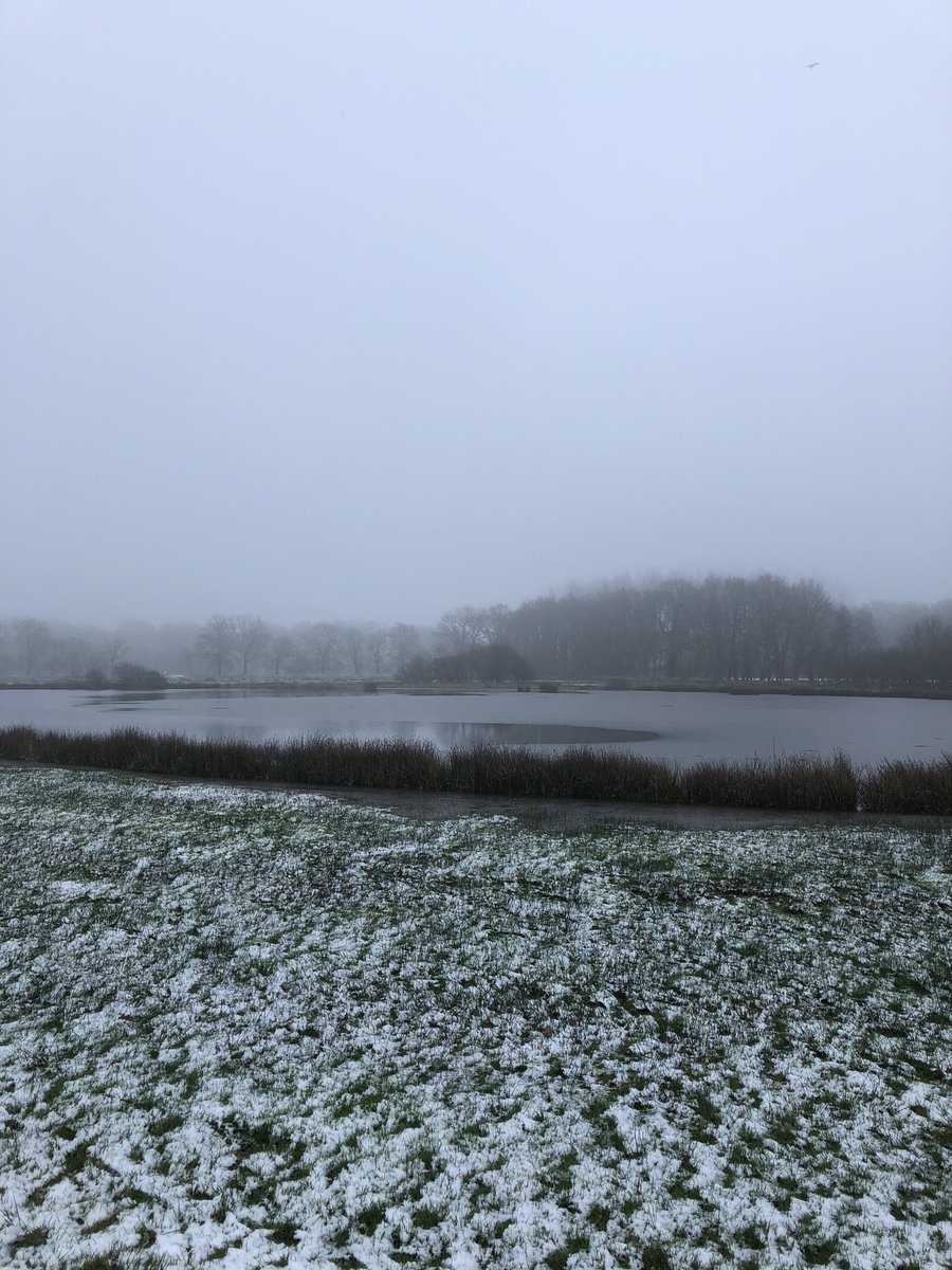 Rondje wandelen buitengebied #Orvelte #noordes #wandelgebied #natuurschoon #sneeuw #mist