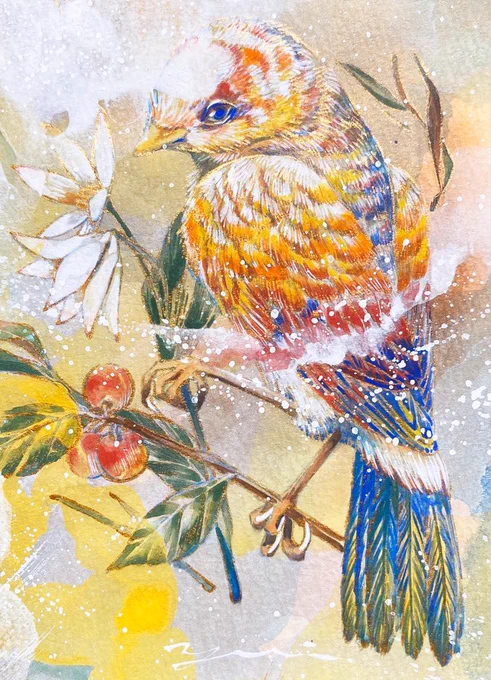 #鳥が好きな創作者フォロー祭り
鳥!!大好きです!!!鳥!

鳥類は全般好きです。
(海鳥はまだカバーできてません…) 