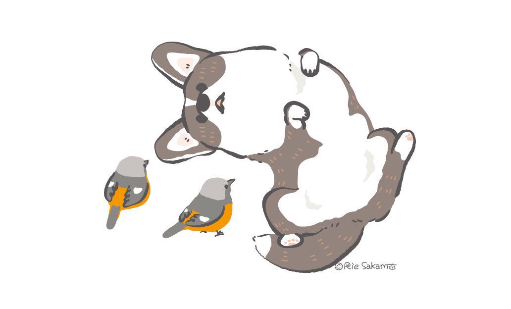 「#鳥が好きな創作者フォロー祭り
コーギー × 野鳥を描いてます 」|サカモトリエ/イラストレーターのイラスト