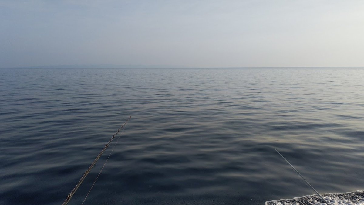 まんぼう オタナース 東京から八景島シーパラダイスに船で行って撃沈したのですが なんとかなりますかね