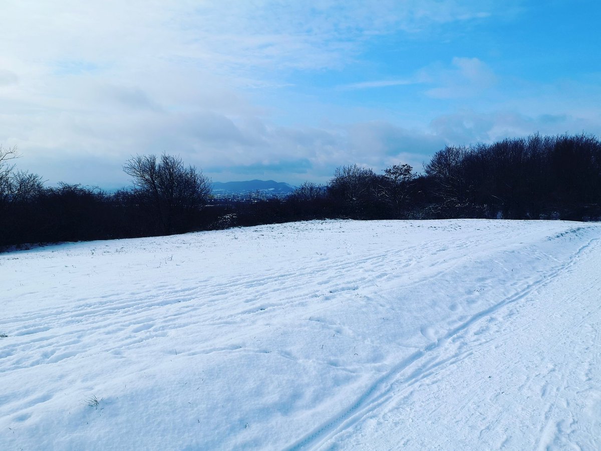 MicheleHeger's tweet photo. #winter with a lot of #snow in #austria and now also in #Vienna. https://t.co/Ja1wyCJhi9