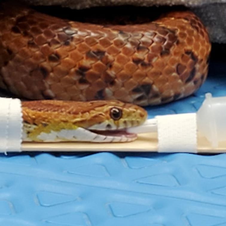 I feel like this is something I should have known about 🤯 love it!