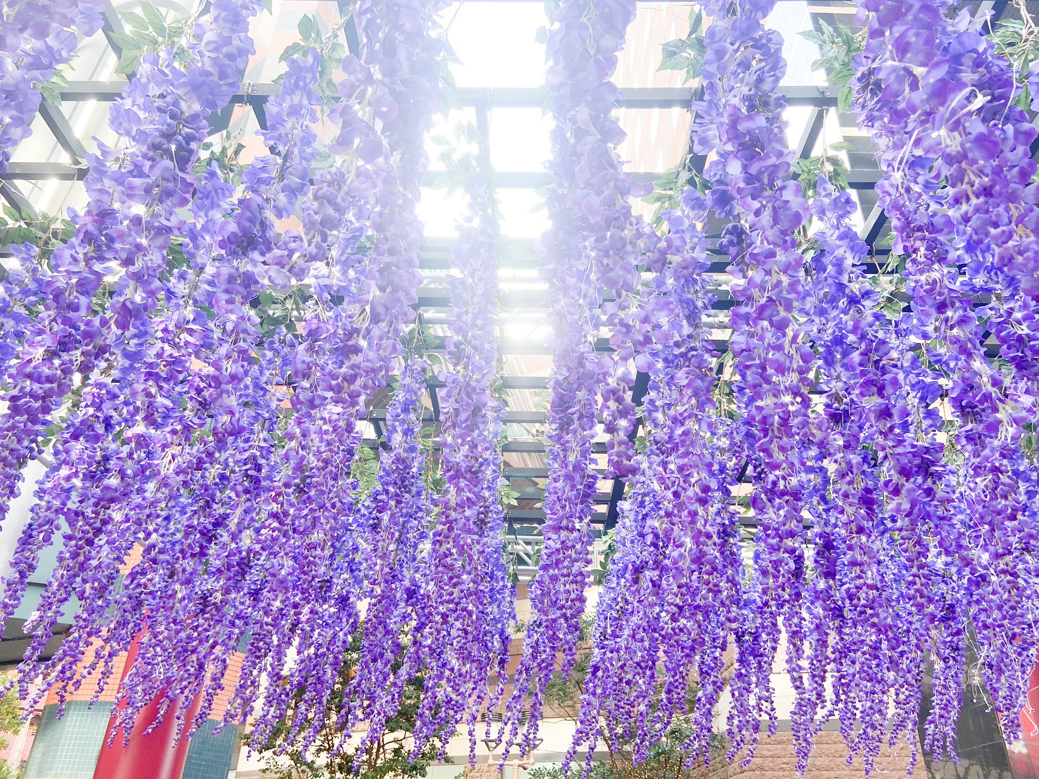 野口 久美 Kumi Noguchi 寒い 寒いと早足になっている時に見えた藤の花 鮮やかな紫が美しく わぁー ってあったかい気持ちになりました 藤の花 家族でお出かけ キャナルシティ博多 藤の花は作り物 T Co X2kp0ux6cr Twitter