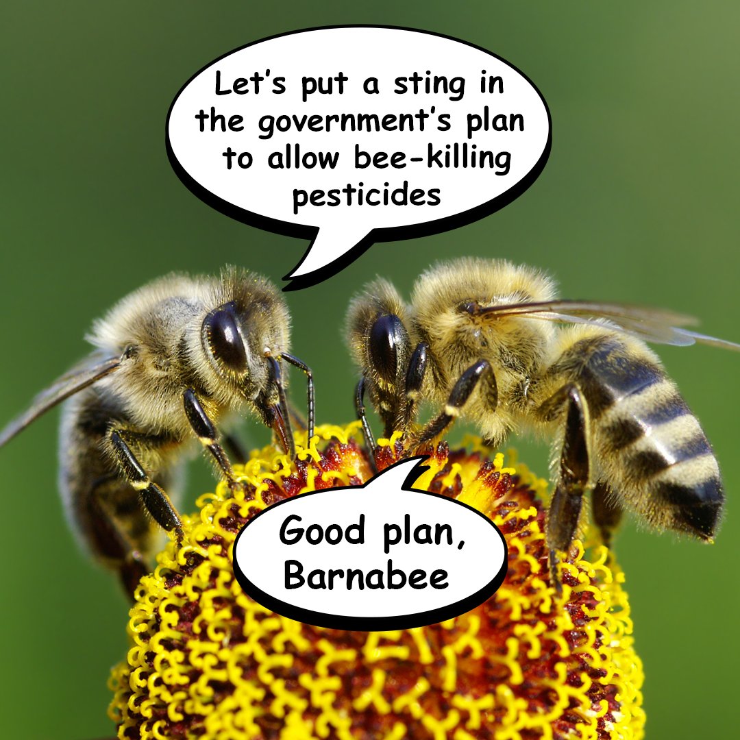 Greenpeace UK tweet media