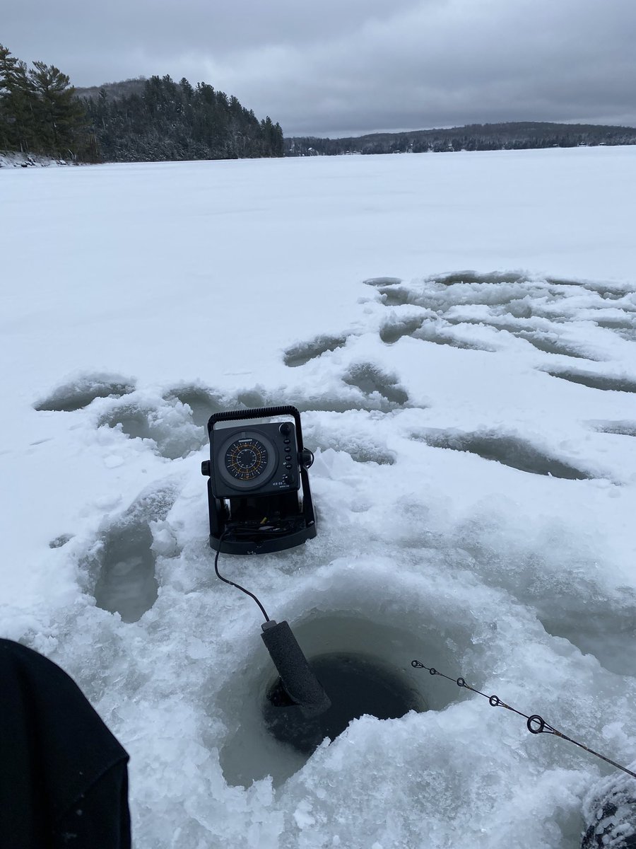 Not as fun without the crew here but it still makes for a good day!! Best medicine I can find for COVID blues #freshair #covidlockdown #getoutdoors #mindandbody #solodayout
