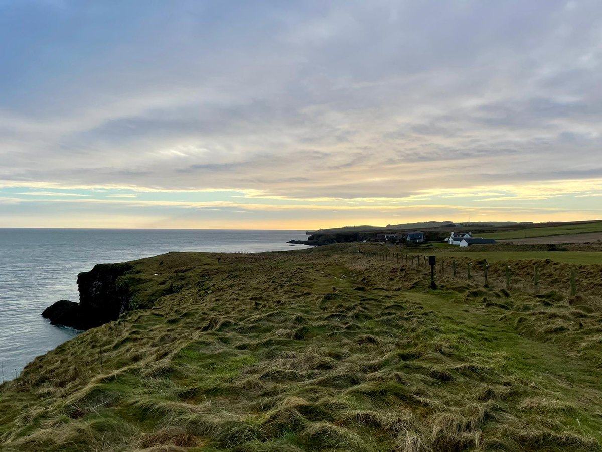 Glorious cliff top walk today. Taking in the  views of the coast from the land for a change.🥰 #visitstonehaven #visitaberseenshire #fowlsheugh #rspb