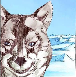standposting's tweet photo. This fucking wolf cracks me up every time https://t.co/CoSDp1DnKJ