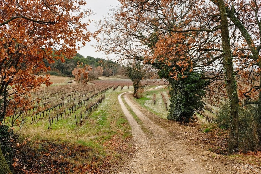 justinevirideau's tweet photo. L'hiver en Provence #cyclorandonée
.
#baladeavelo #cycling #cyclisme #velo #cyclorando #provence #vaucluse #suddelafrance #southoffrance #hiver #winter #paysage #landscape #cotesdurhone #champs #vignes #fujifilm #fujixt20 #xt20 https://t.co/wdRyxe7rum https://t.co/NaHw6pKXi2