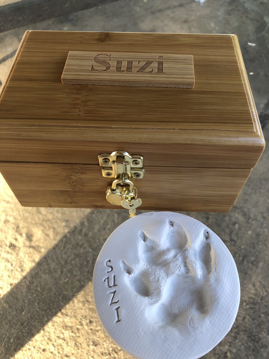 DiannasEye's tweet photo. https://t.co/egCW6NAZuY
A week ago we lost beloved Suzie. Thank you so much for supporting my gofundme link & helping to offset the 5k bill that incurred while I was trying to save her. Please share and repost. I am truly greatful. #vetbillhelp #maltese #poodle https://t.co/g4eHjDyzdu