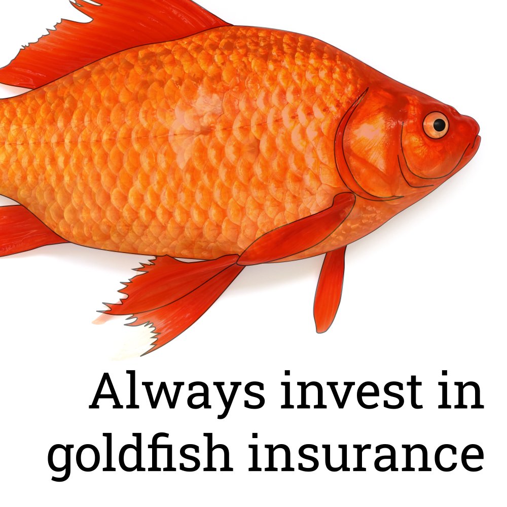 Some financial advice to start the year off with: