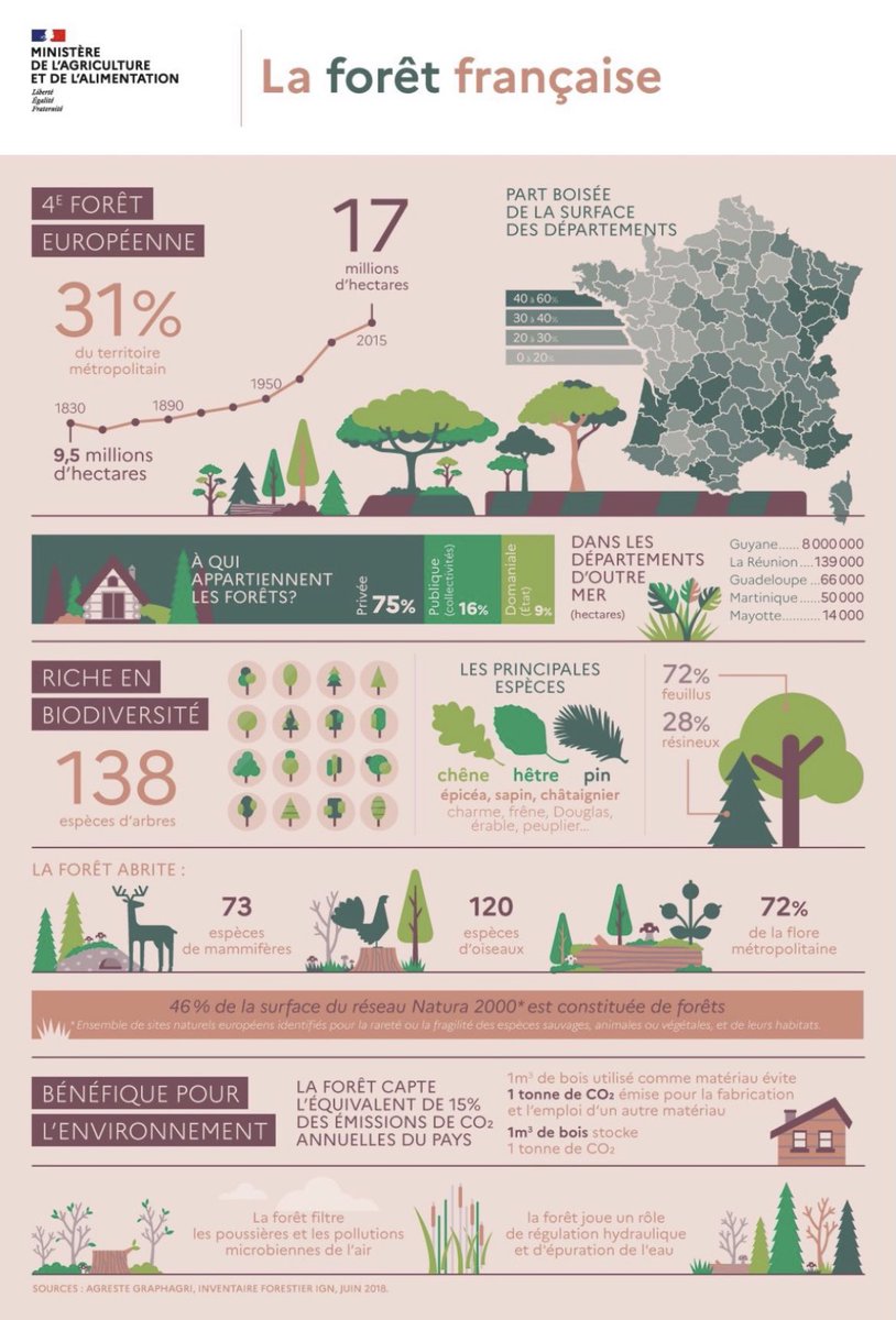 alexandre_yvon's tweet photo. La forêt française est bien gérée...
Consommons près de chez nous.
@franceboisforet @leboisfrancais @LeBoisInter @yvondepuis1830
#sustainable #wood #recycling #Materials https://t.co/t7jpFQSGGK