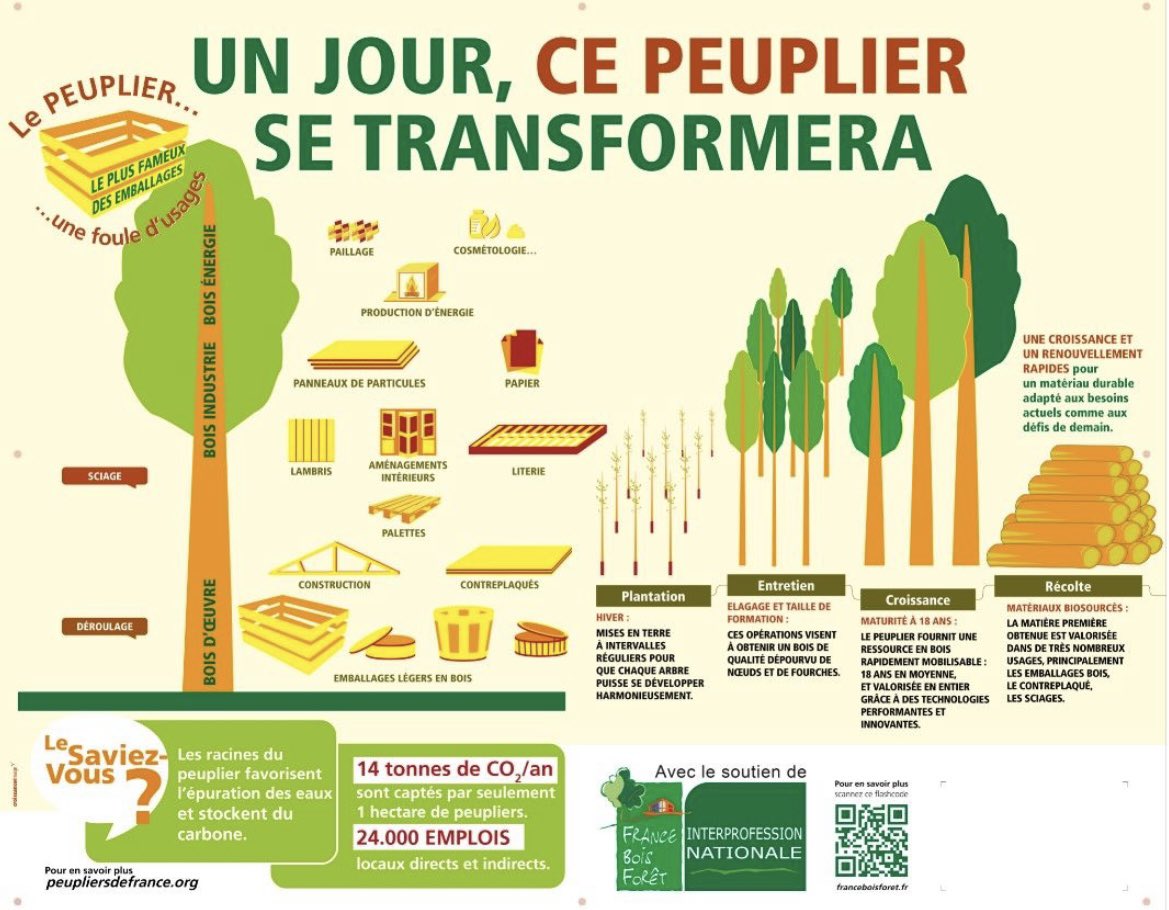 alexandre_yvon's tweet photo. La forêt française est bien gérée...
Consommons près de chez nous.
@franceboisforet @leboisfrancais @LeBoisInter @yvondepuis1830
#sustainable #wood #recycling #Materials https://t.co/t7jpFQSGGK