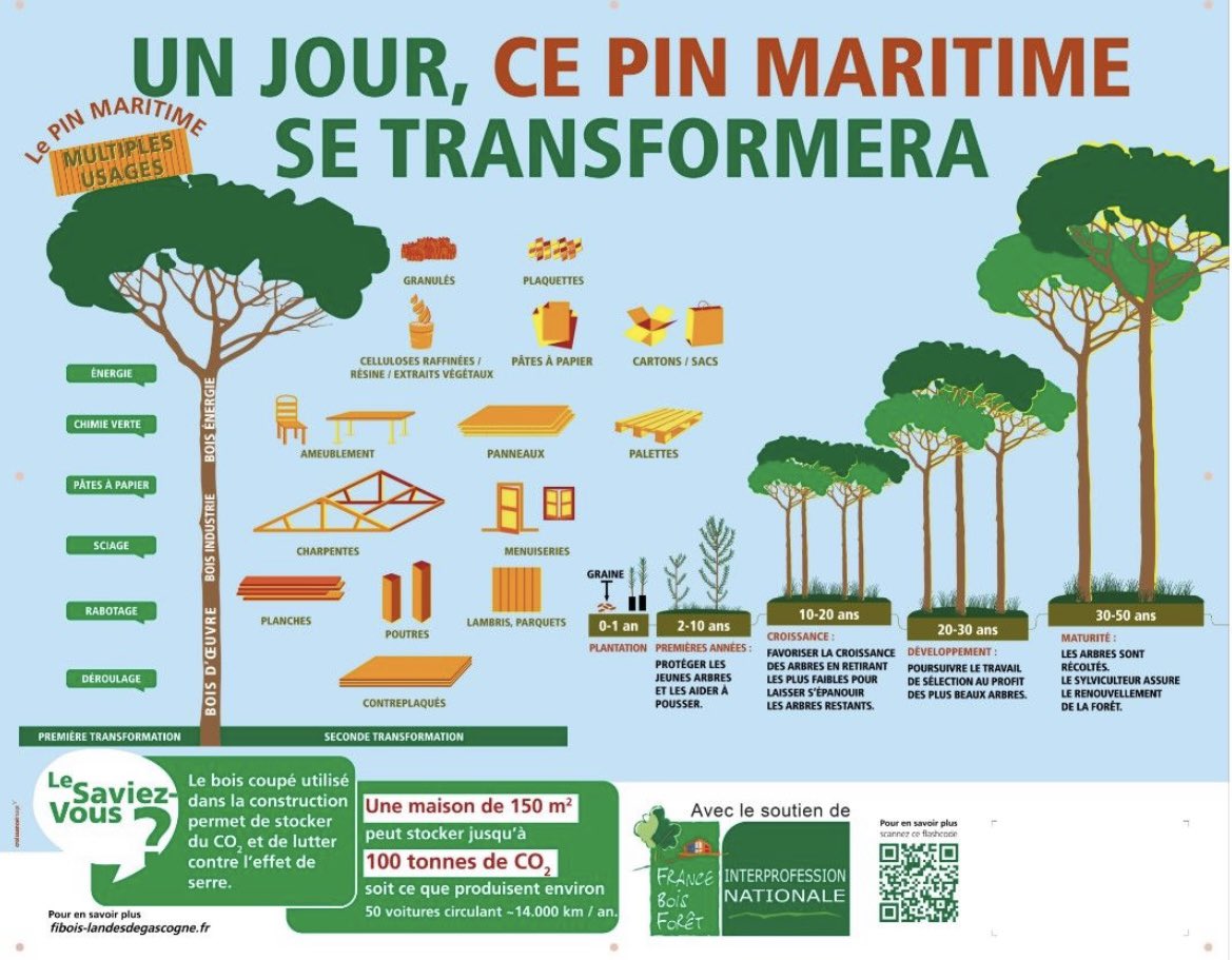 La forêt française est bien gérée...
Consommons près de chez nous.
<a href="/franceboisforet/">France Bois Forêt</a> <a href="/leboisfrancais/">Le Bois Français</a> <a href="/LeBoisInter/">BOIS INTERNATIONAL</a> <a href="/yvondepuis1830/">YVON</a>
#sustainable #wood #recycling #Materials