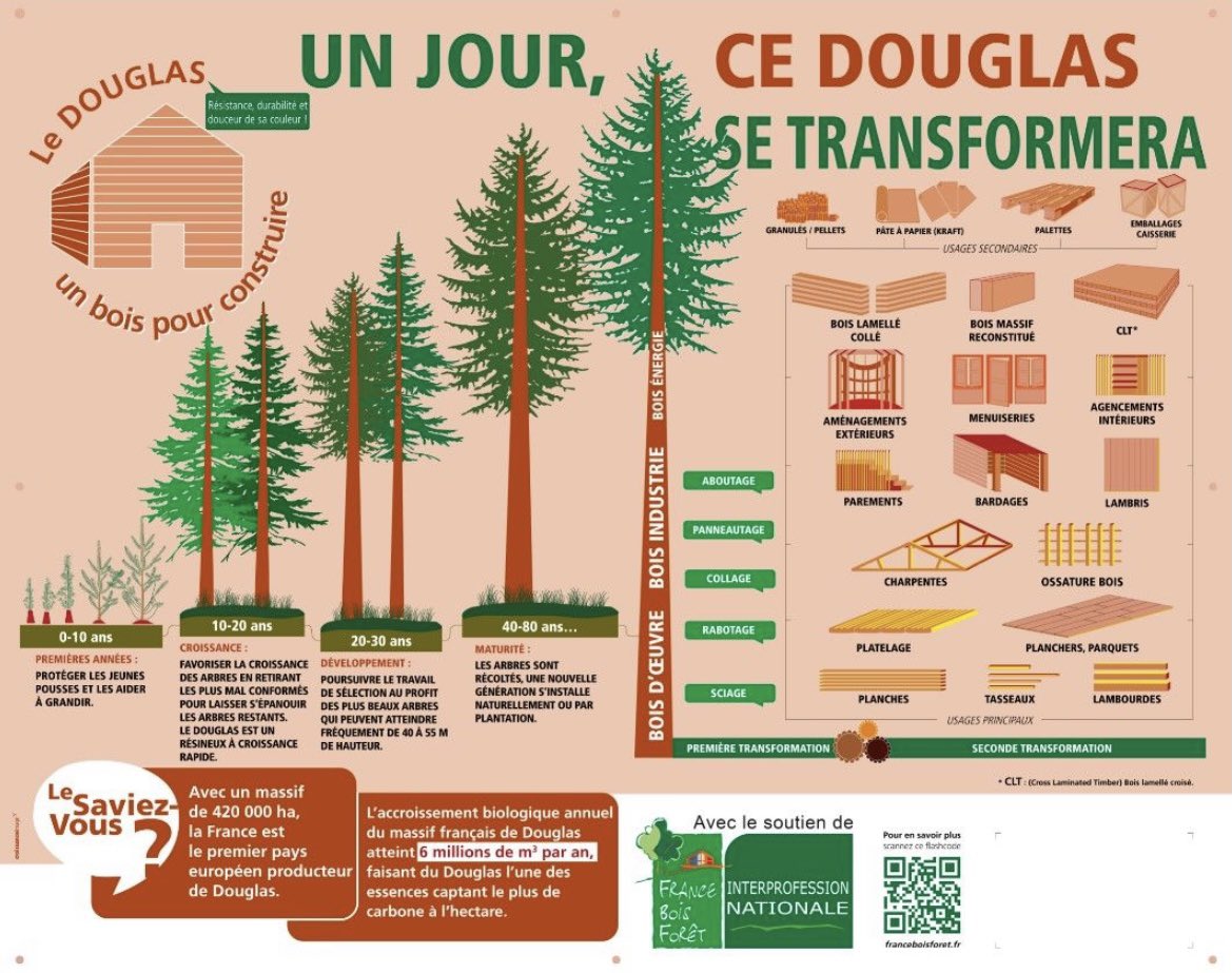 alexandre_yvon's tweet photo. La forêt française est bien gérée...
Consommons près de chez nous.
@franceboisforet @leboisfrancais @LeBoisInter @yvondepuis1830
#sustainable #wood #recycling #Materials https://t.co/t7jpFQSGGK