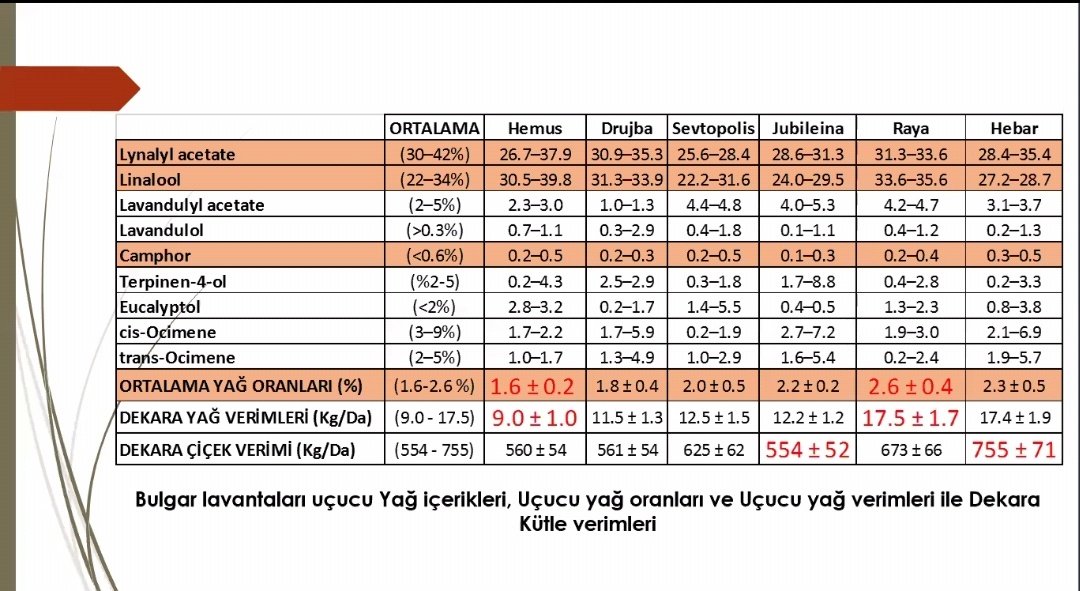 OrkanErdogan's tweet photo. @ANTALYA_TOM @antalyaborsa @gokhankaraca_ @alicandir @ersinyazici1 @bekirpakdemirli Orkan Erdoğan #ParfümBitkileri #GelecekTarimda 2. Yoklama https://t.co/WW5eO3kkRJ