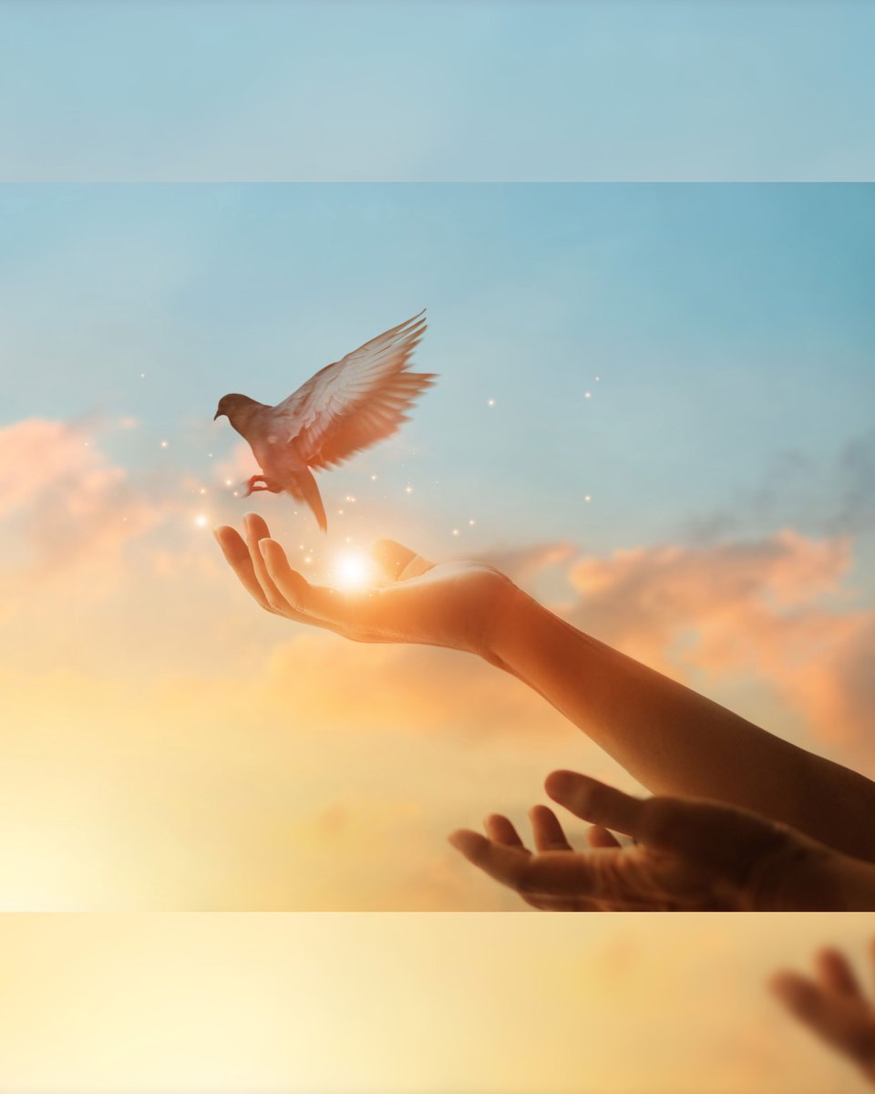 VetPathwaysHome's tweet image. Coping With Traumatic Loss Support Group - Guidance through the Stages of Grief. Every Tuesday Evening from 6-8pm

While there is no right or wrong way to grieve, there are healthy ways to cope with the pain that, in time, can renew you and permit you to move on.