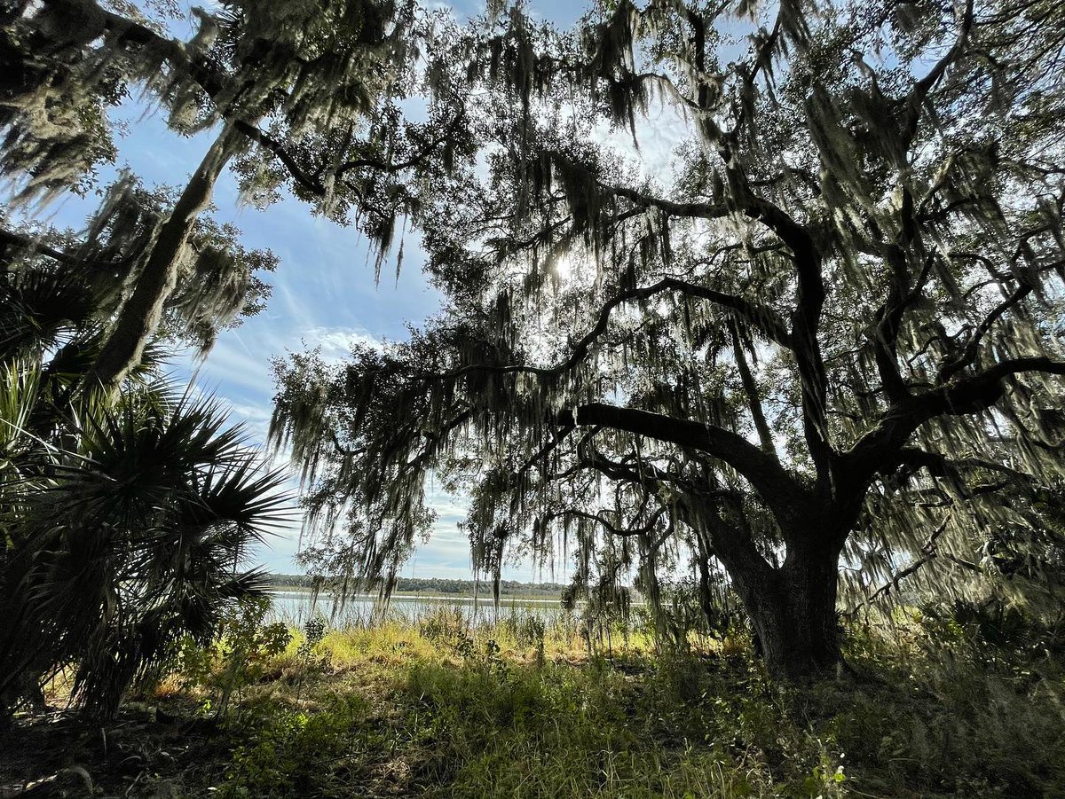Jodicab22's tweet photo. 🌴🚶🏼‍♀️
.
.
.
#ClosingThoseRings #FuneralForMyFat #CovidPoundsBeGone #Explorer #FloridaThings

📸 https://t.co/iFLD6hox4V via https://t.co/5ttQiDWlXB https://t.co/8javO7qWf3