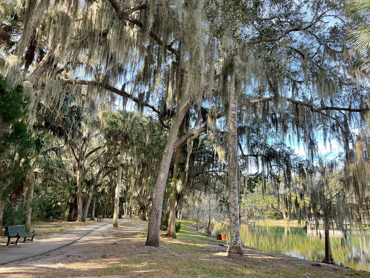 Jodicab22's tweet photo. 🌴🚶🏼‍♀️
.
.
.
#ClosingThoseRings #FuneralForMyFat #CovidPoundsBeGone #Explorer #FloridaThings

📸 https://t.co/iFLD6hox4V via https://t.co/5ttQiDWlXB https://t.co/8javO7qWf3