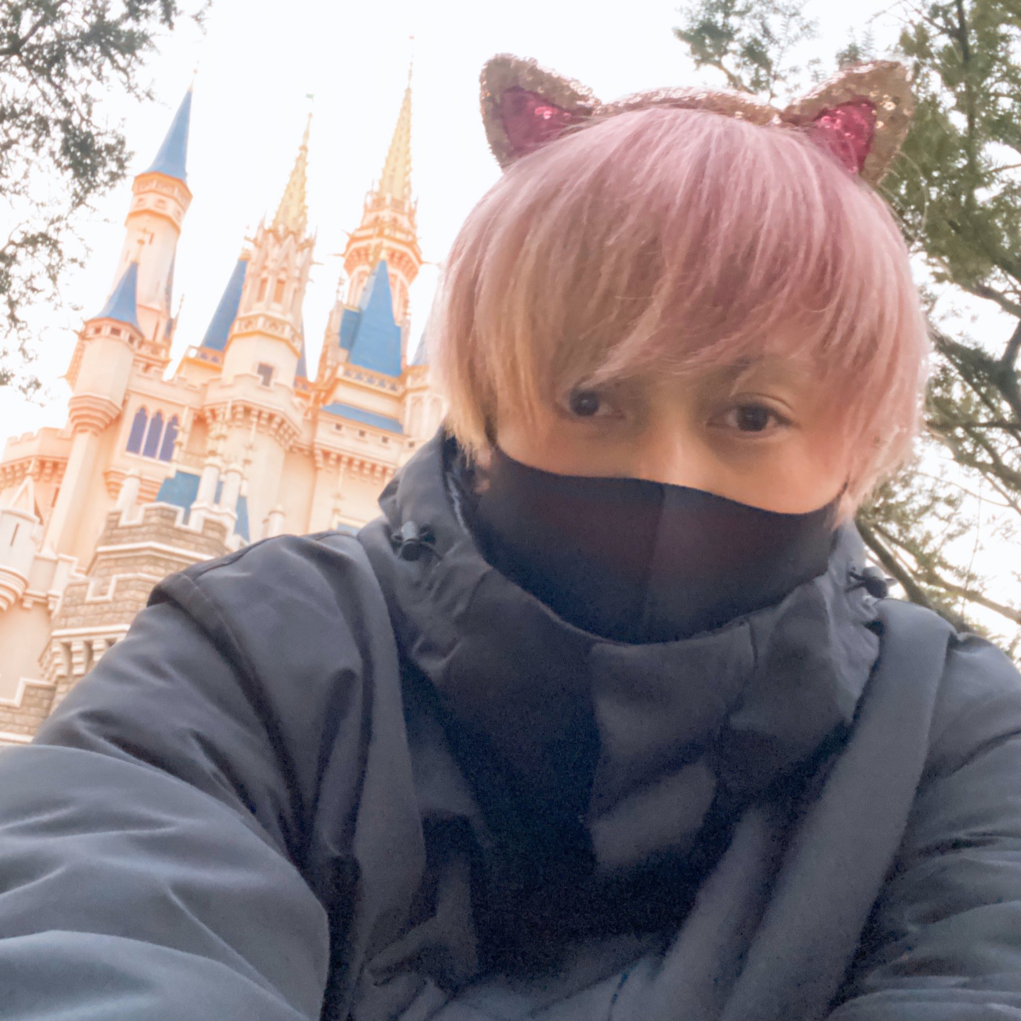 タイガ Tiga ディズニー行きたくない T Co Xcx4ixfs Twitter