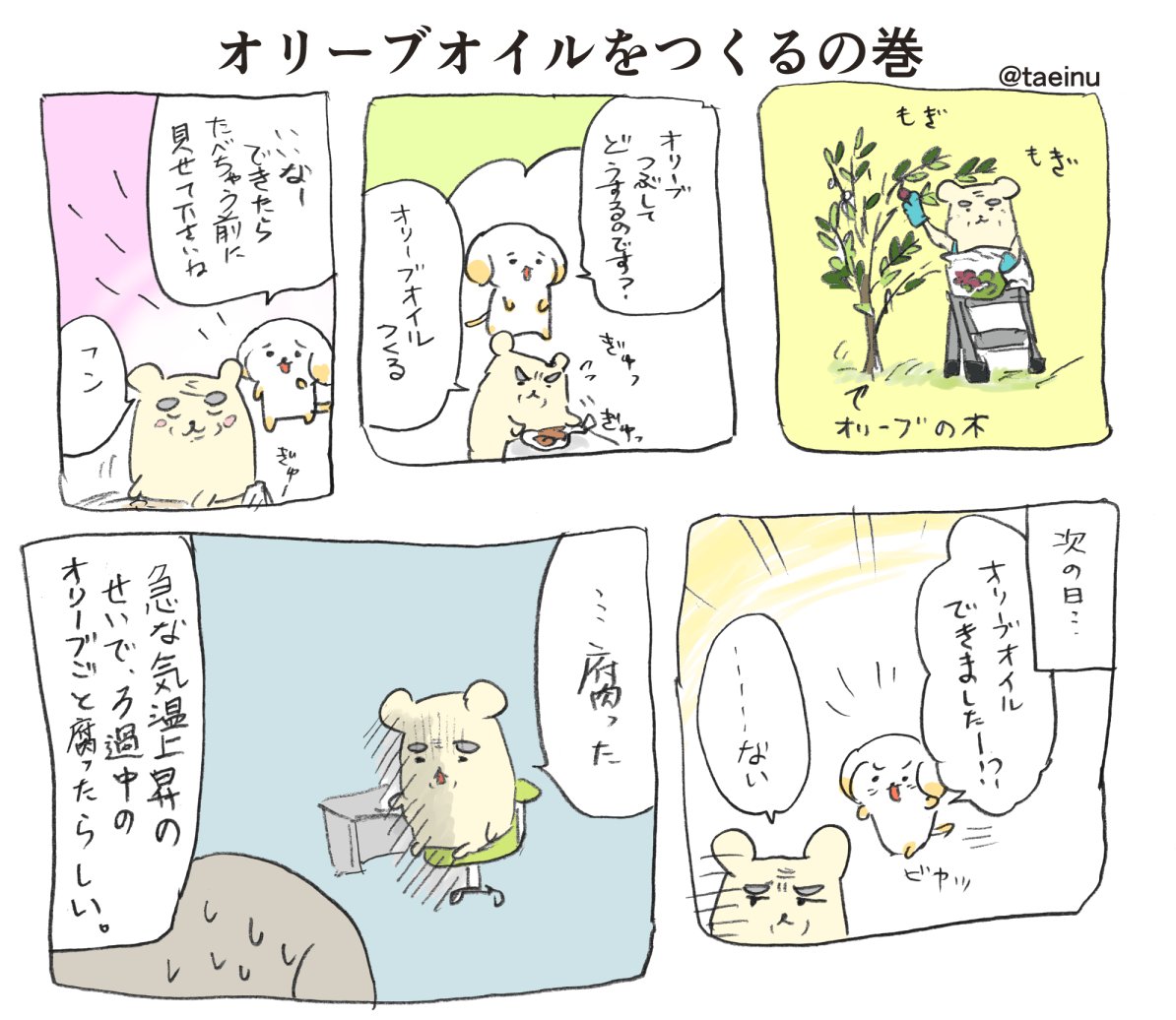 ちょっと前に、おじいちゃん上司がオリーブオイルを作ろうとしていた時の話。 