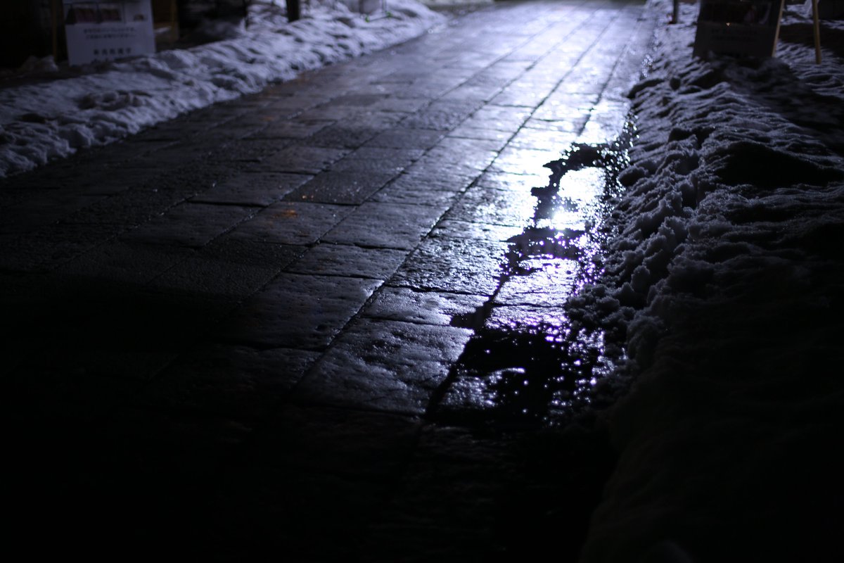 seasideline's tweet photo. 今年は神様もさぞ忙しかっただろうに。

EF 50mm F1.4 USM 
1Ds mark3
#eos #canon #eos1ds https://t.co/Yy7toIJPxY