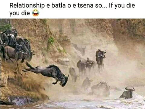 RandzGSK's tweet photo. ...and this is exactly how I entered my current relationship. If I die I die. 🙆 https://t.co/3Ycl9pfJms