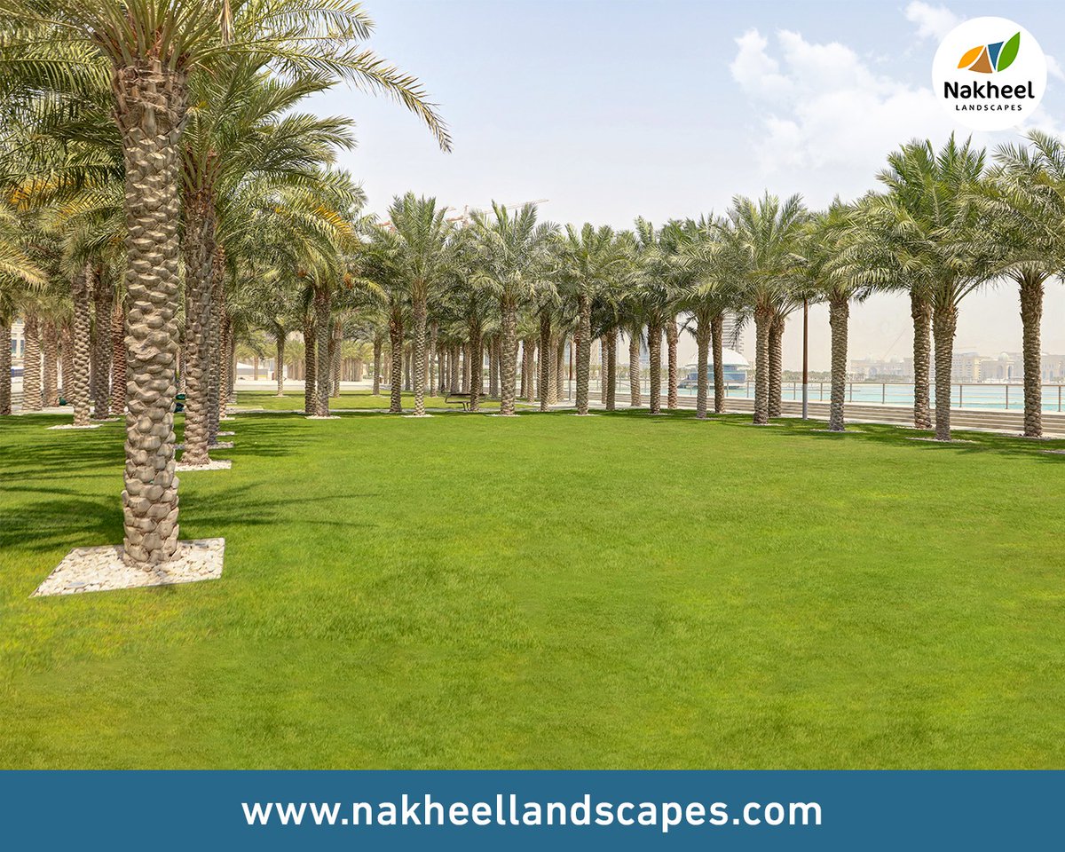NakheelQatar's tweet photo. Nakheel Landscapes is a leading Outdoor Turnkey Solutions Provider in Qatar. Visit our website: https://t.co/DTmZ1LZ69E

#doha #qatar #qatarliving #gardening #roadto2020 #photography #landscaping #iloveqatar #nature #greenqatar #plants #garden #environment #nakheellandscapes https://t.co/enYGRPqYEA
