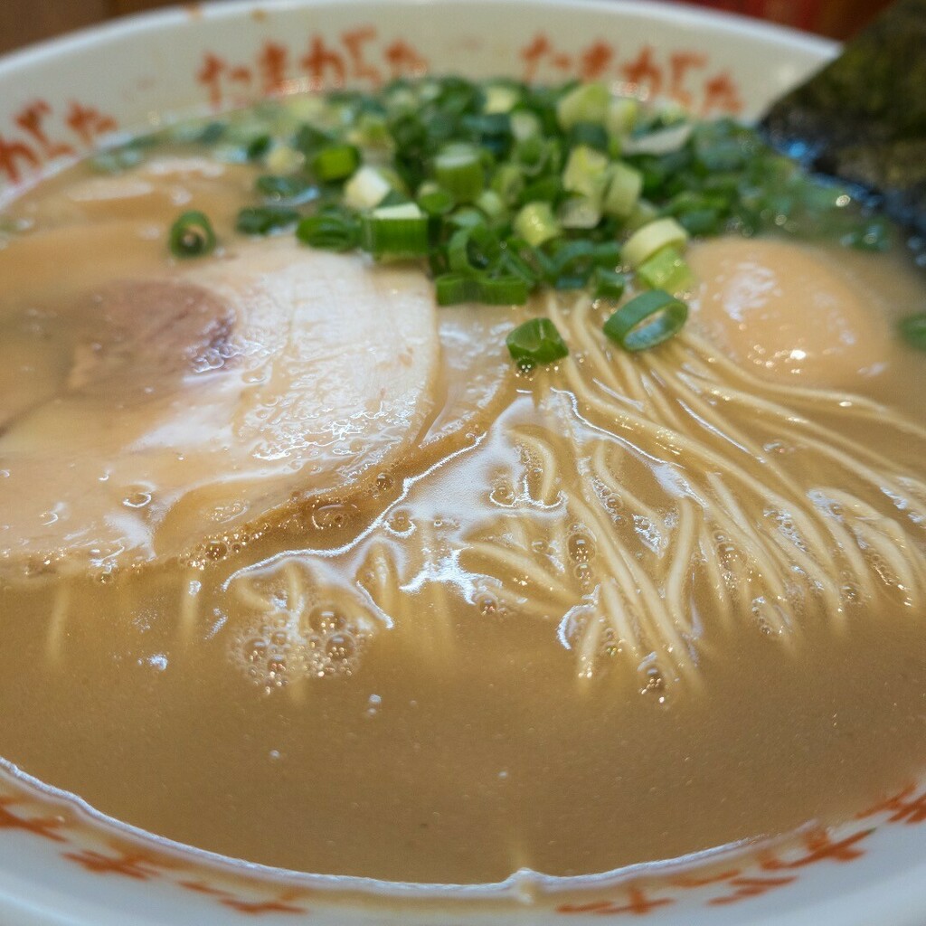 merita_goodboy's tweet photo. #japanesefood #tonkotsu ( #porkbone , really thick ) #ramen #noodles #Tamagatta #Kanagawashinmachi #Yokohama #Japan #豚骨 #ラーメン + #味玉  九州大分らぁめん #たまがった #神奈川新町 本店 #横浜 #foodstagram https://t.co/g3OktOHECf https://t.co/51jTjAaupr