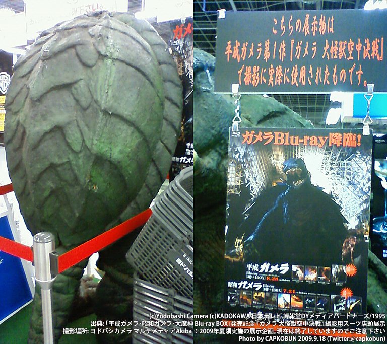 ガメラ永久保存化プロジェクト ！ ガメラの牙レプリカ欲しい!! しかし