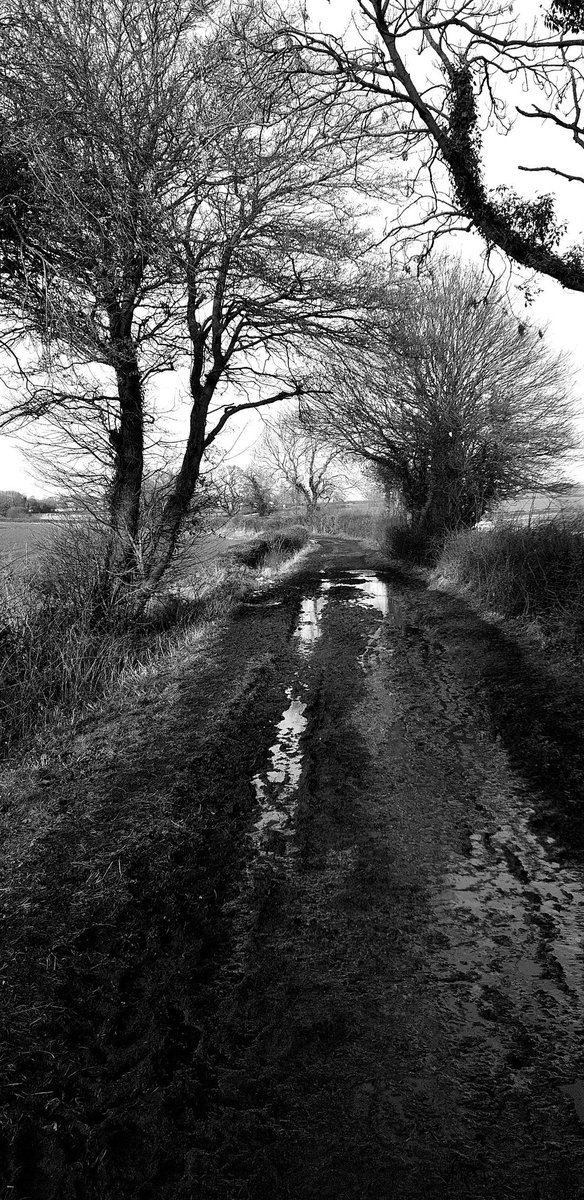 Steve72Outdoors's tweet photo. Todays local walk on #LeedsCountryWay #BogLane #Barnbow not much snow left โ๐#getoutside https://t.co/QUCycqGRqo