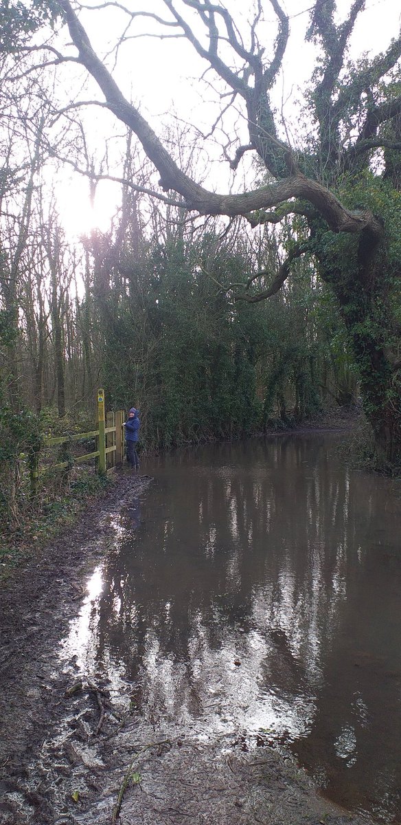 Steve72Outdoors's tweet photo. Thought this was a Path! Bog lane on the #LeedsCountryWay living up to its name ๐ https://t.co/6PxZIhP1tD