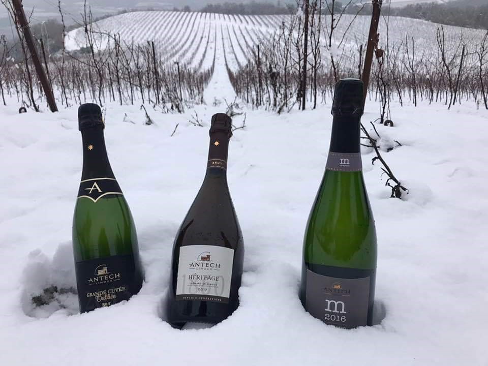 LeGrappillon's tweet image. Wijngaard in wintertijd!

Het is stil in de wijngaard, maar spannend in de kelders. 
Een jaar lang werk in wijngaarden en wijnkelders, het eindresultaat, gaat in de fles.... 

#wijngaard #Limoux #Antech #Languedoc #ZuidFrankrijk